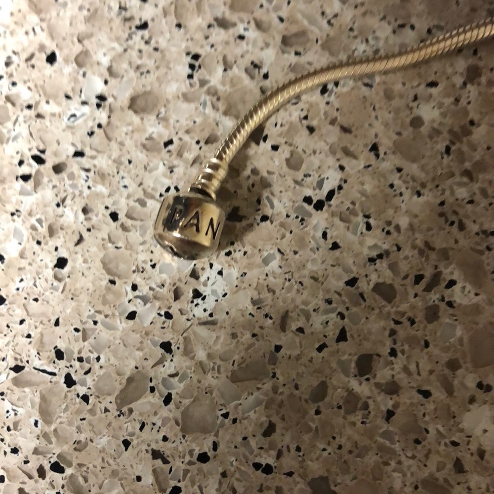 Pandora charm bracelet